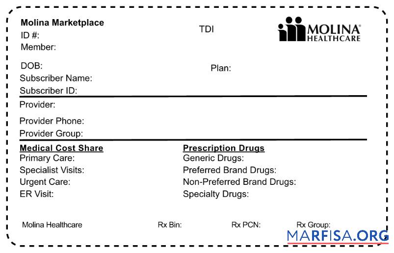 Realistic USA Molina HealthCare health insurance card template
